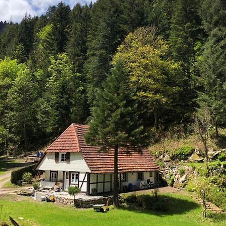 Apartamento Waldbauernhof Hornberg Exterior foto