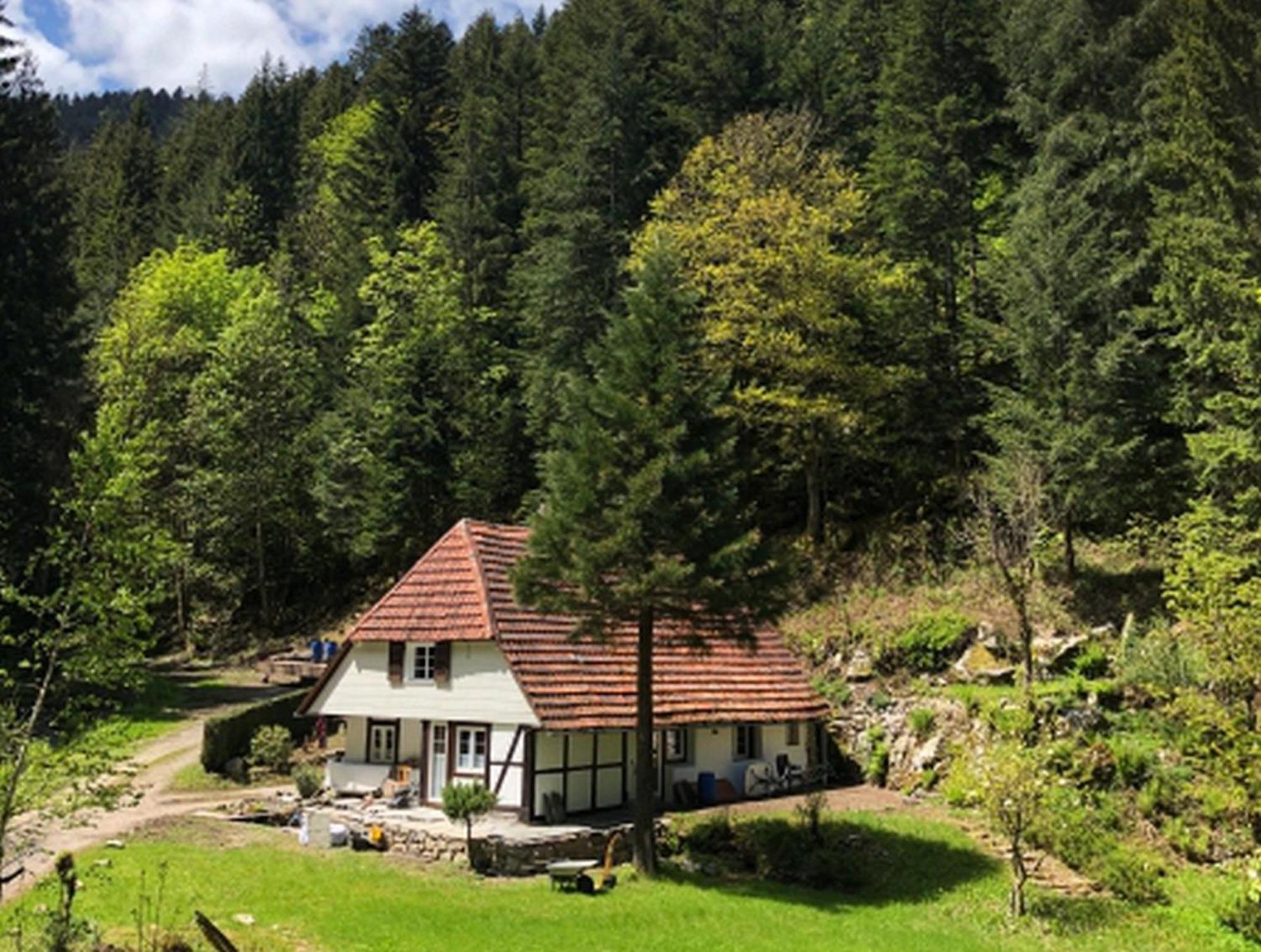 Apartamento Waldbauernhof Hornberg Exterior foto